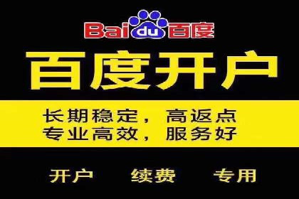 某电商平台的SEM投放全流程案例